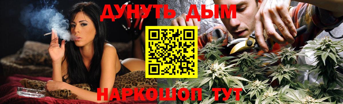 Марихуана семена  Вход с VPN  Новотроицк  Марихуана Ganja  Шишки марихуана индика  Конопля планчик 